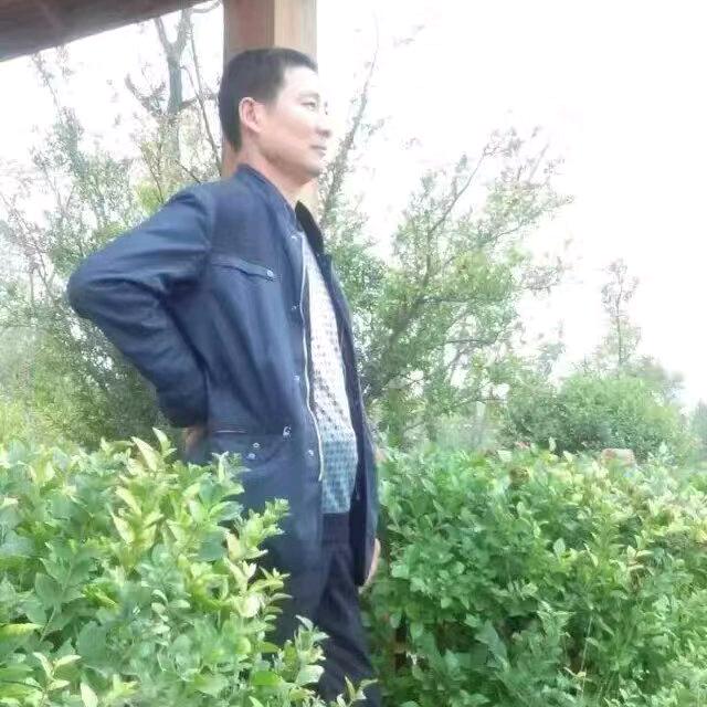 王军平