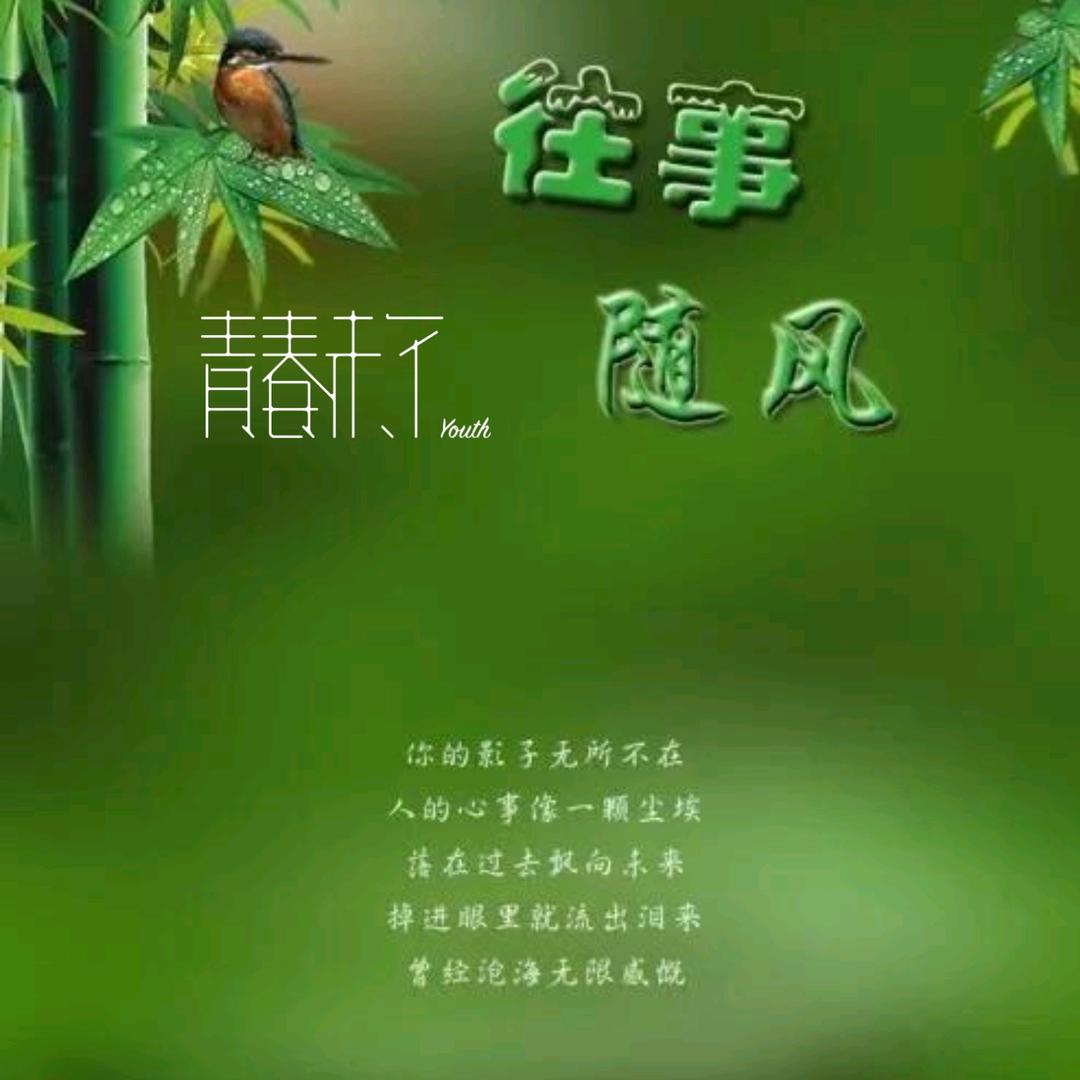不迷糊
