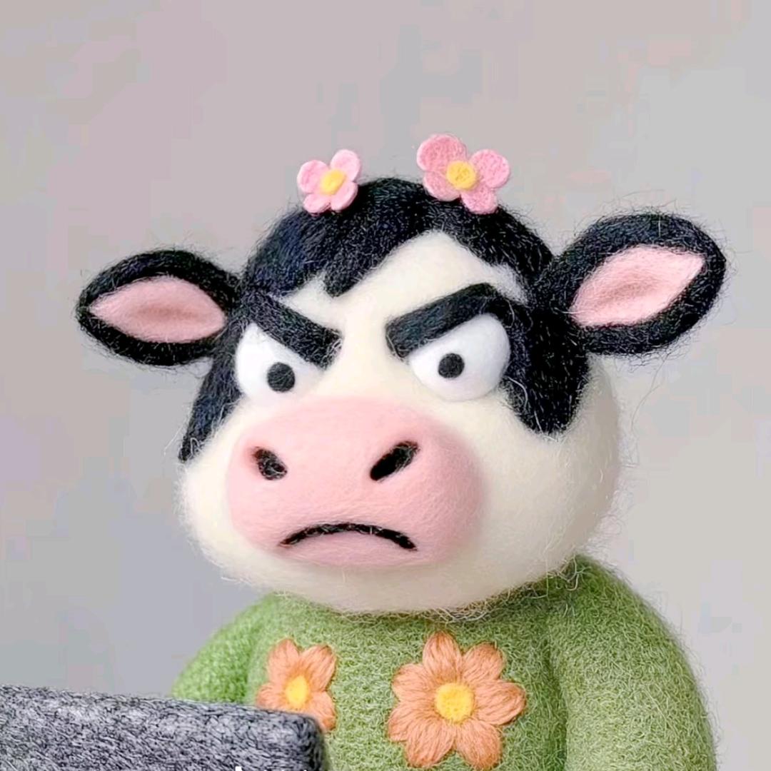 你大姨
