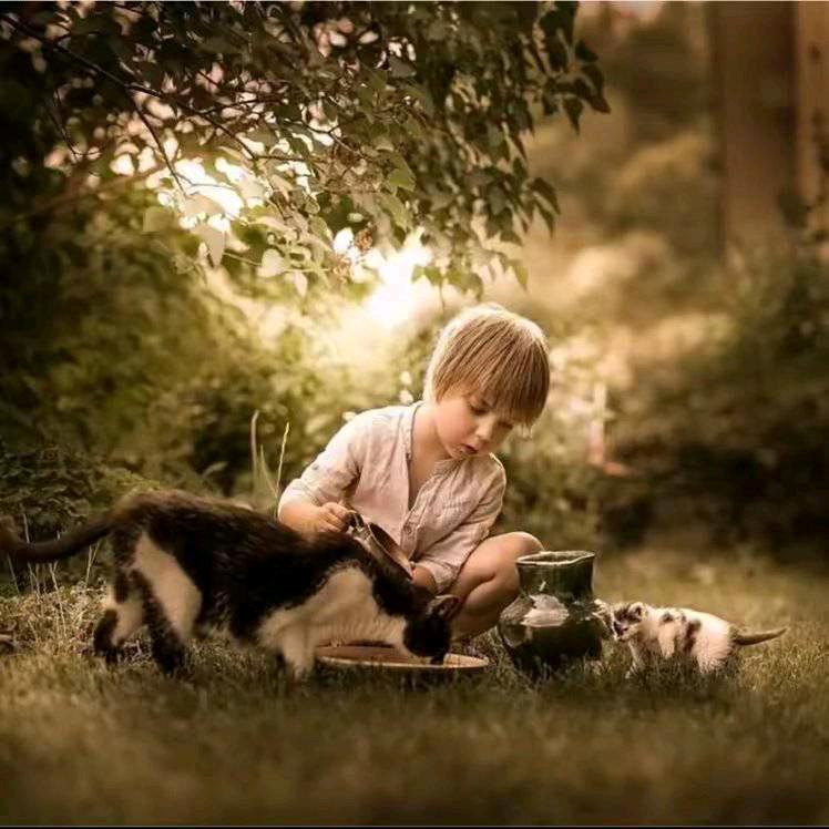 饭团的心理日记