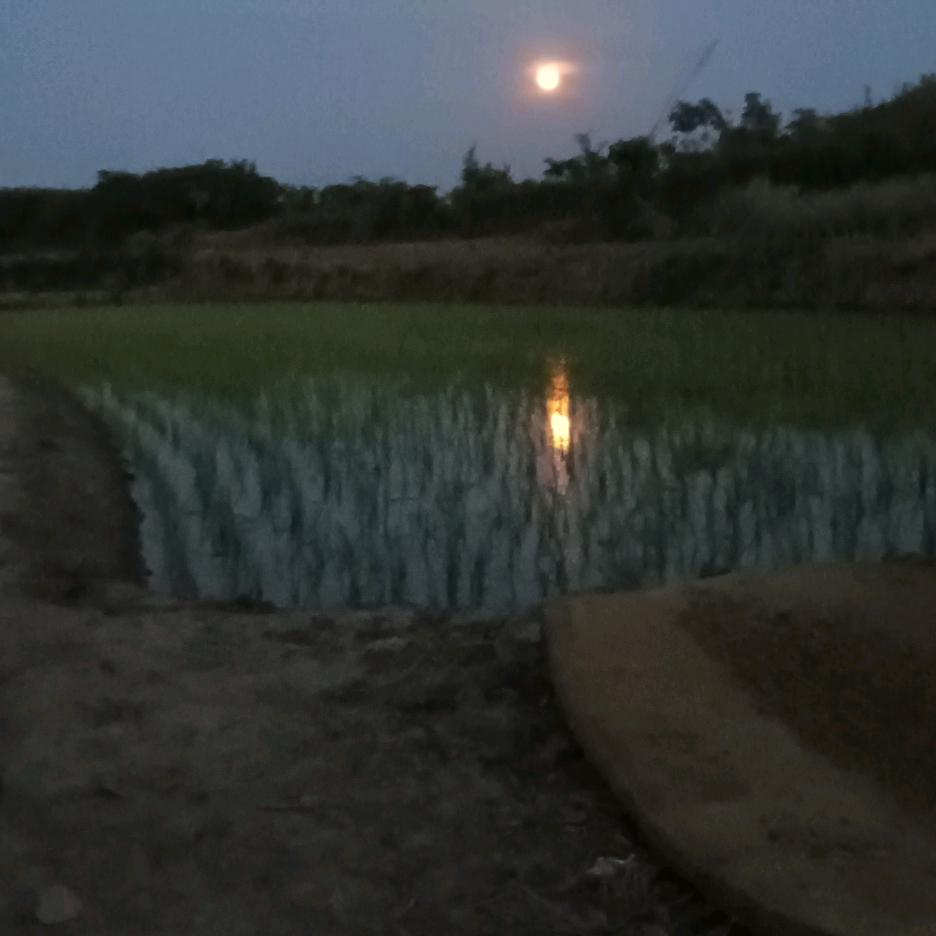☀平安