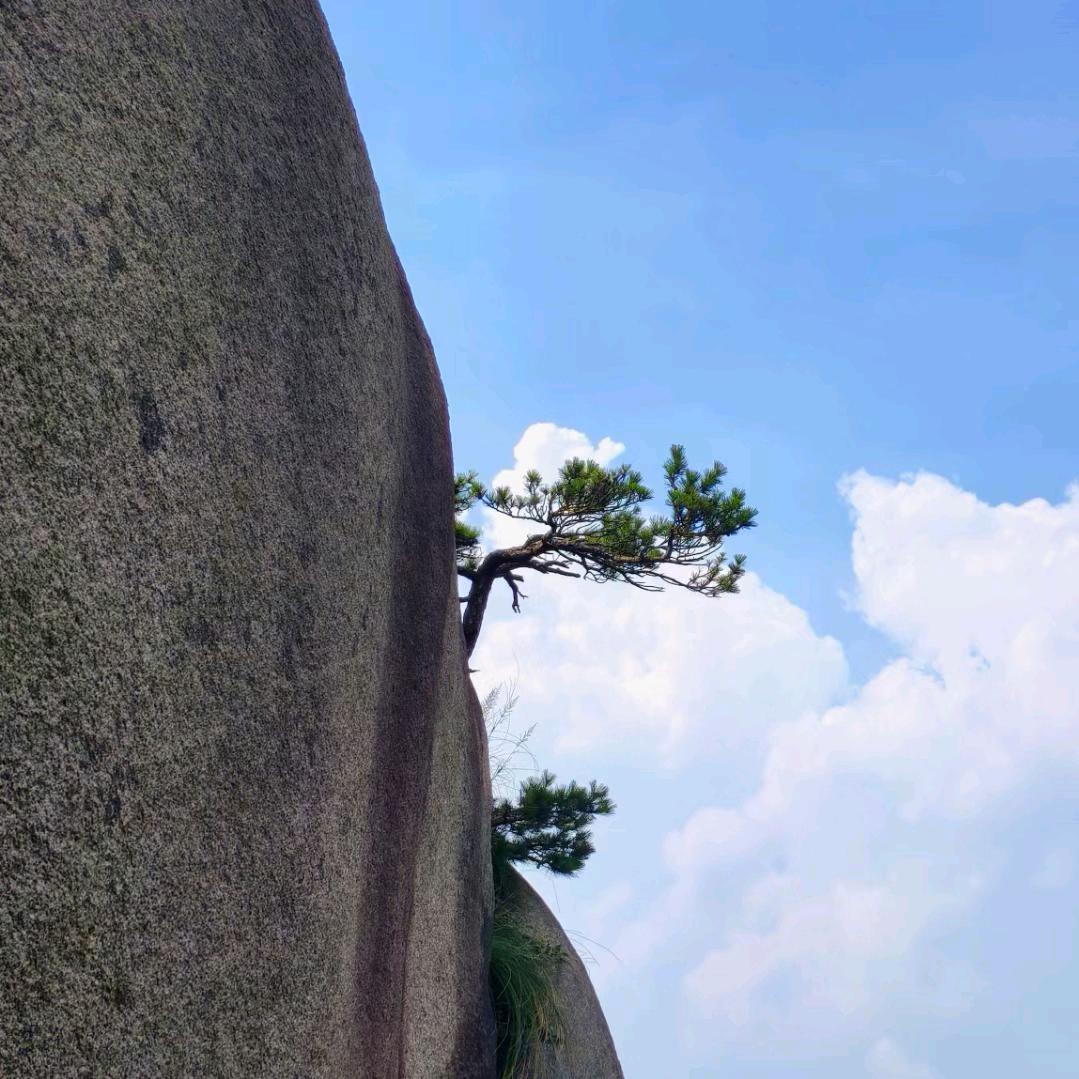 樊姐手工馄饨水饺