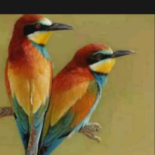 ❤️微风来了❤️😊🌹