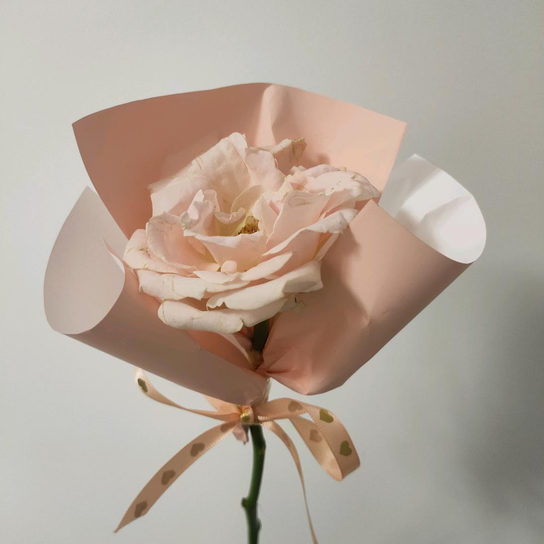 星星团队带你来看房