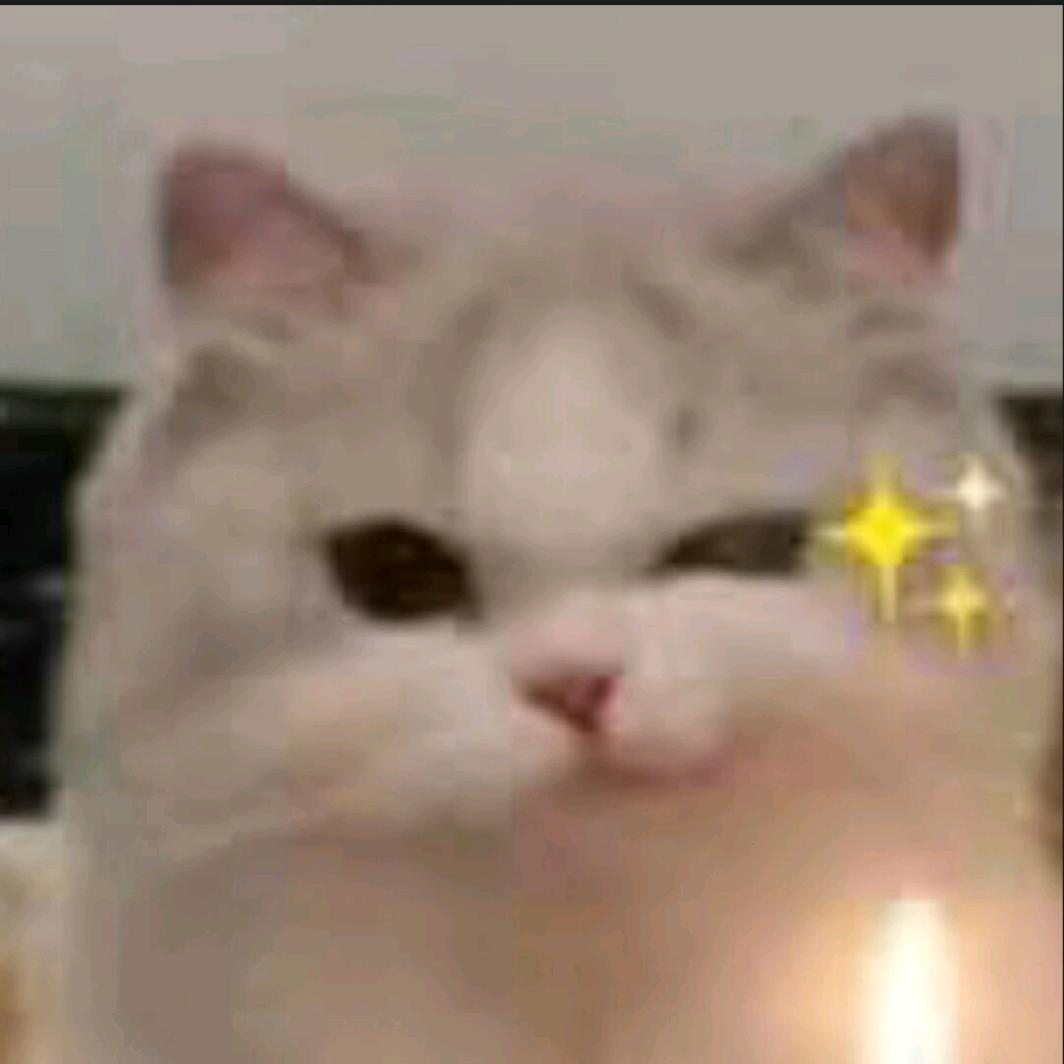 赤小豆🍞