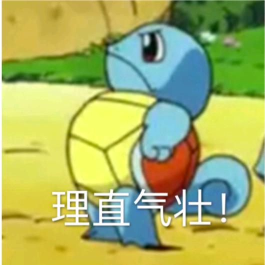 杰尼龟本🐢
