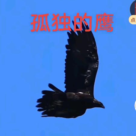 孤独一人闯天下