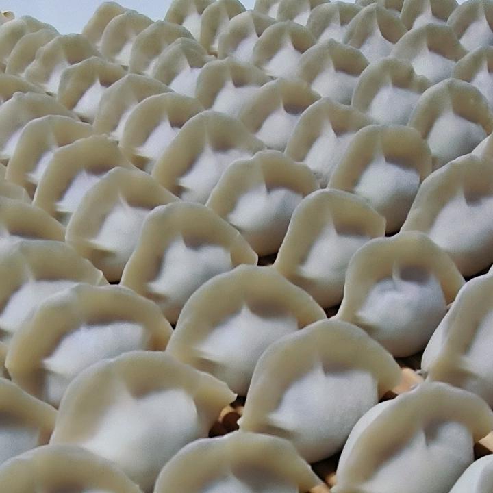 陈姐手工饺子灌汤包