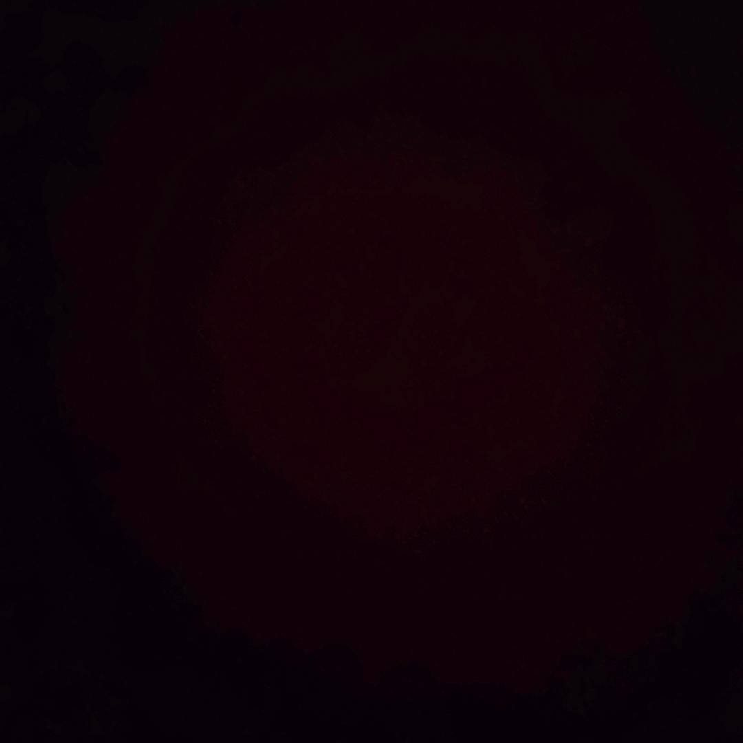 ദ്ദി˶ᕑᗢᓫ)✧