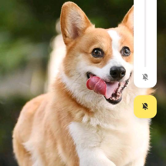 简简单单才会天长地久