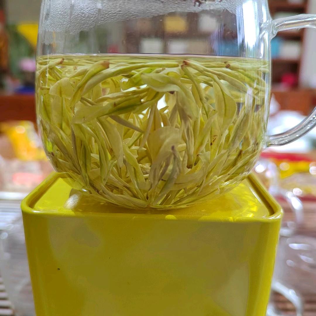 安吉白茶