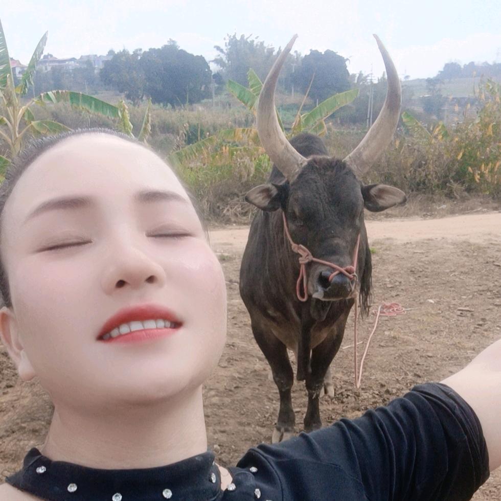 💞ღ᭄梅ঞ᭄༊