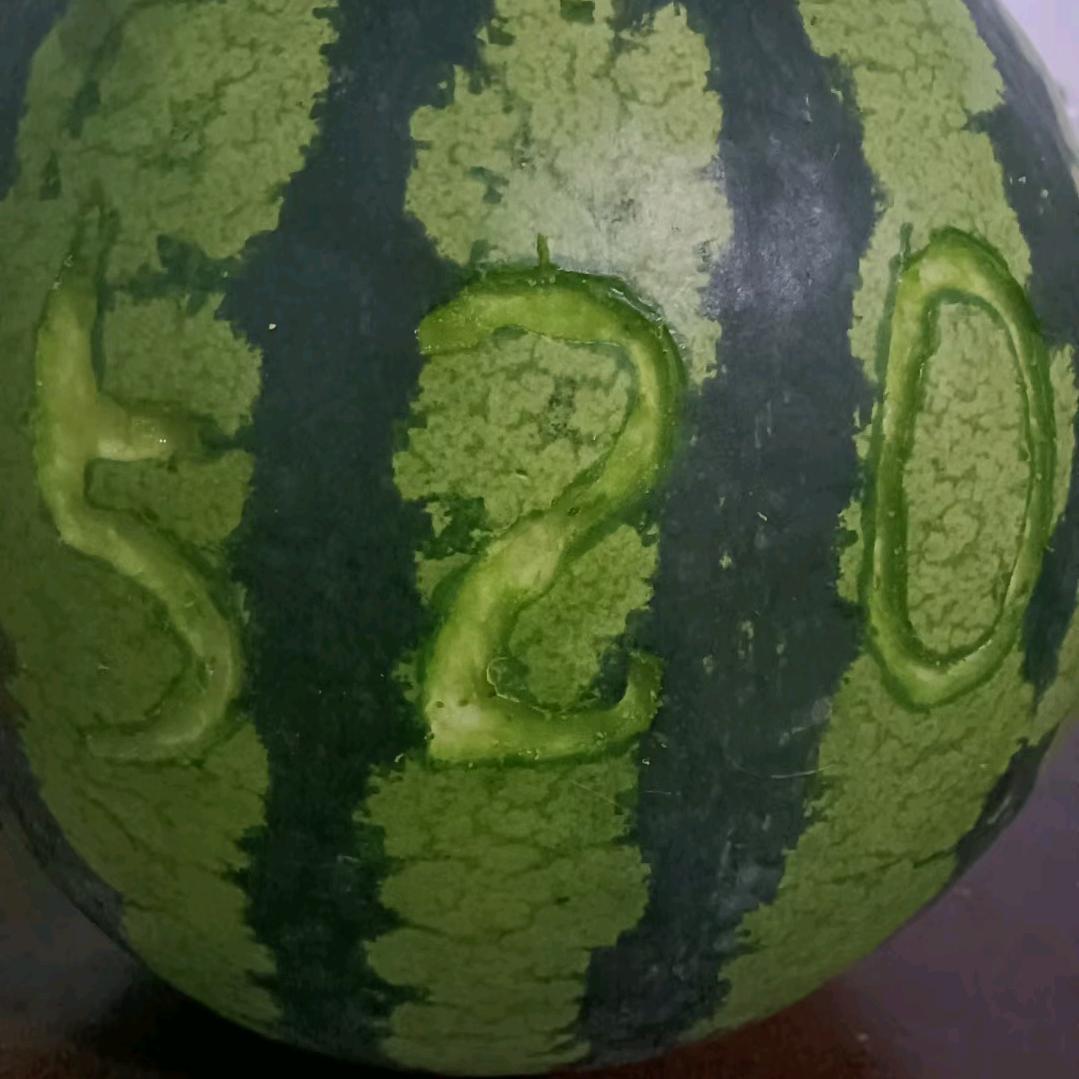 雄安西瓜哥