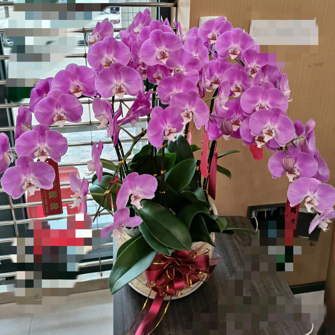 @有你真好