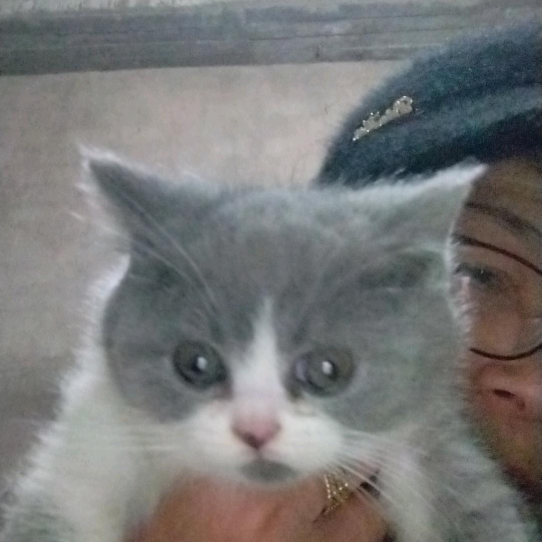 小玉，女人要靠自己不要靠男人。