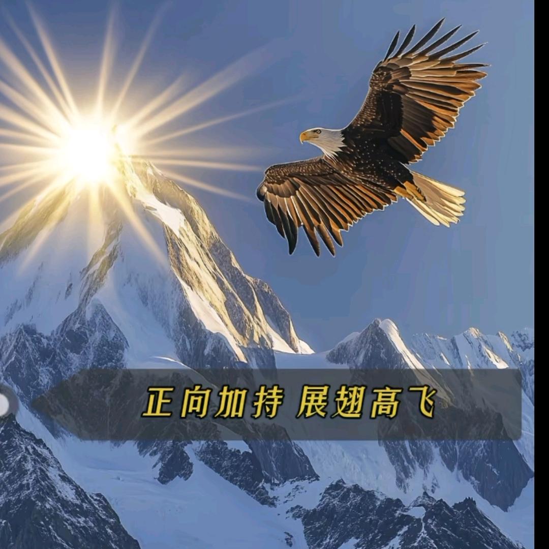 仙人掌🌷