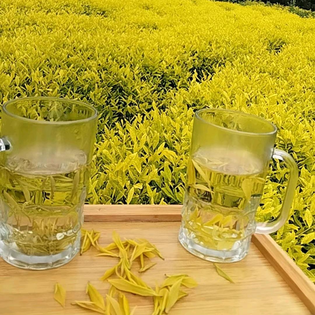 《茶🍵庄》芳姐