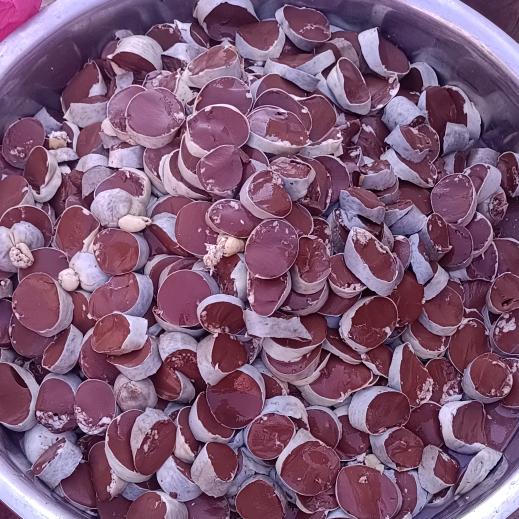 金三角水罐肠