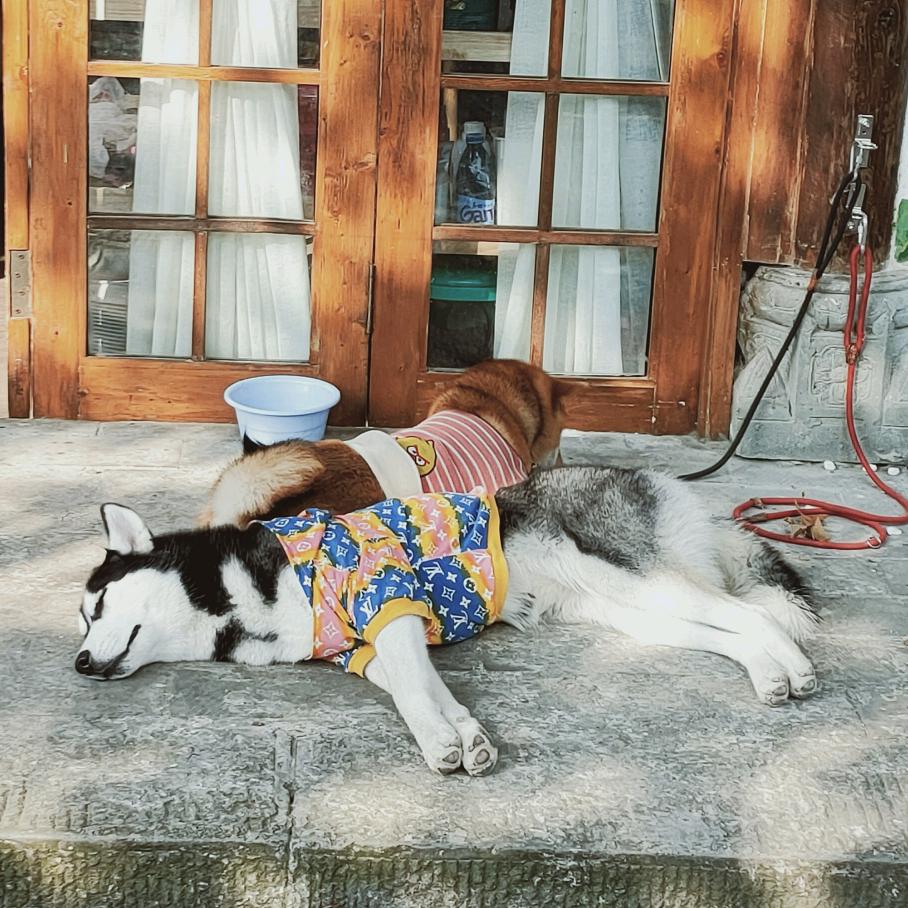 ໑ຼₒ₂₂ღ᭄ꫛ柳꧔ꦿ᭄