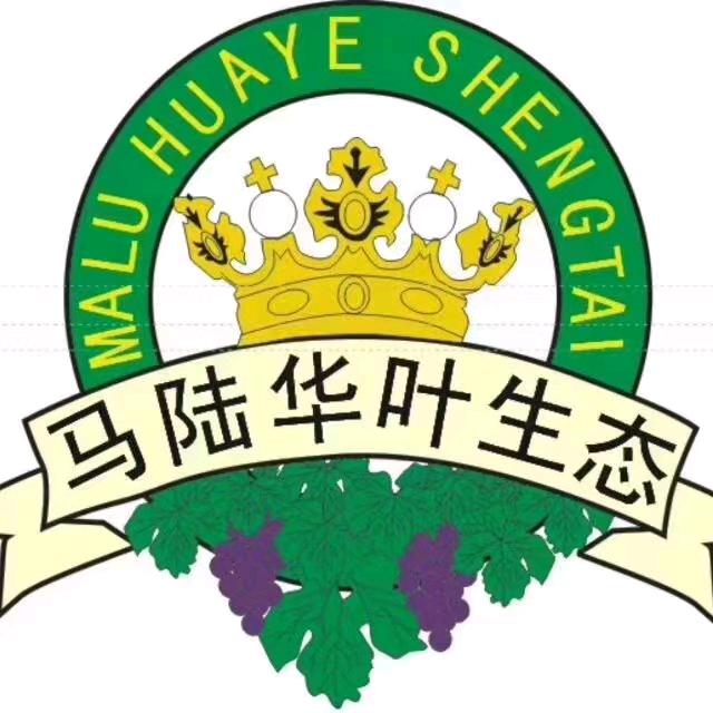 马陆华叶葡萄生态农庄