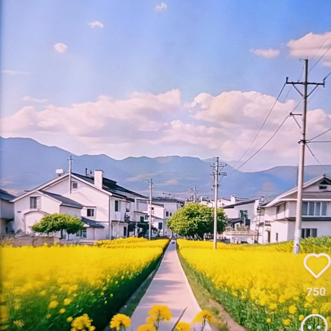 荔姐姐