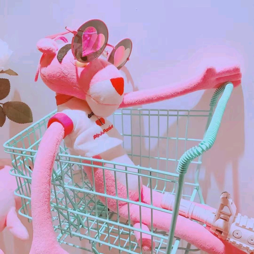 发财树好物推荐