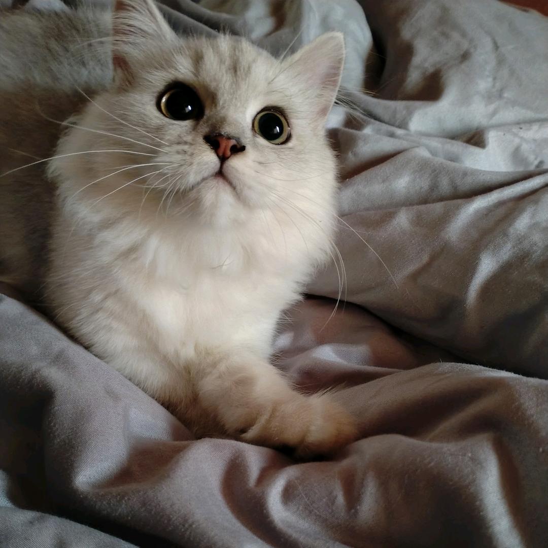 爱己