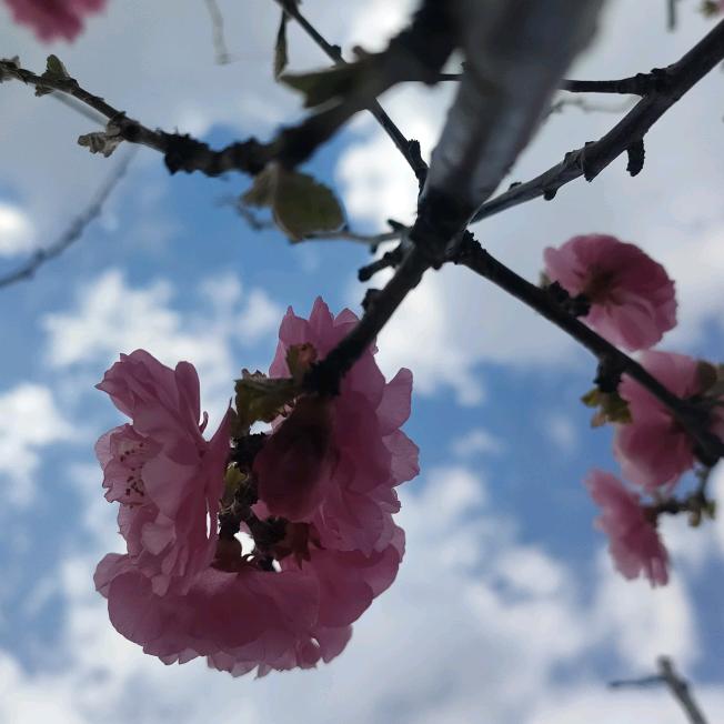 永远到底有多远