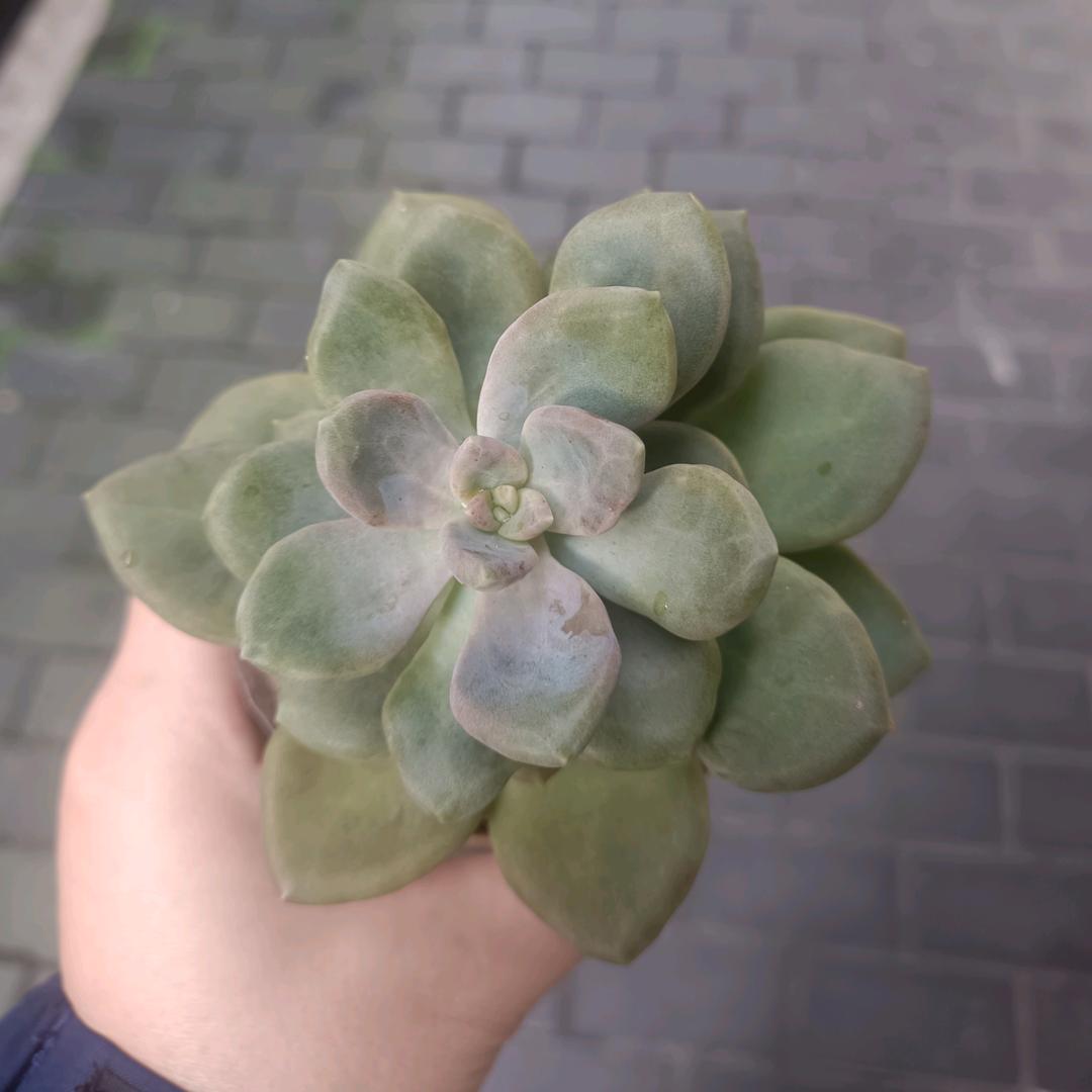 幸福每一天