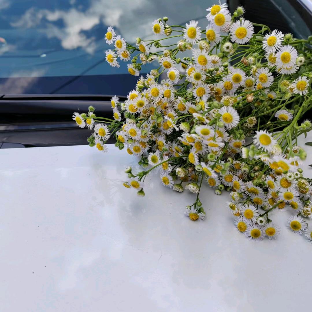 敏儿🌸❤️