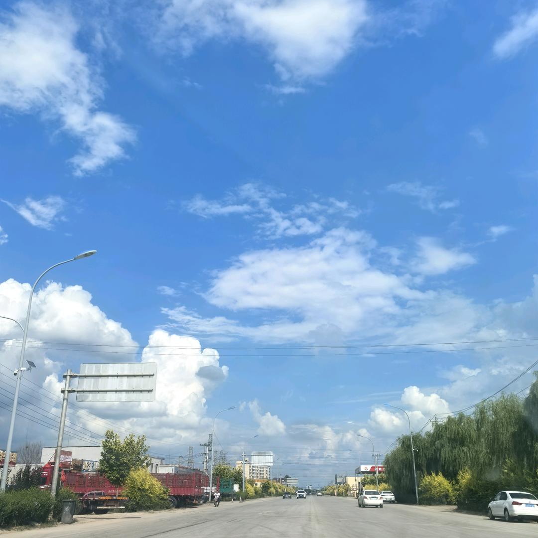 李洁