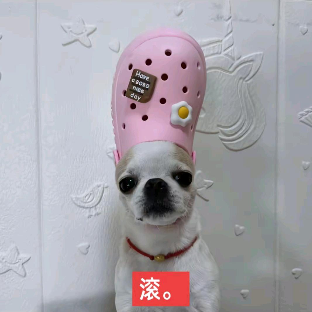 与人类无法交流