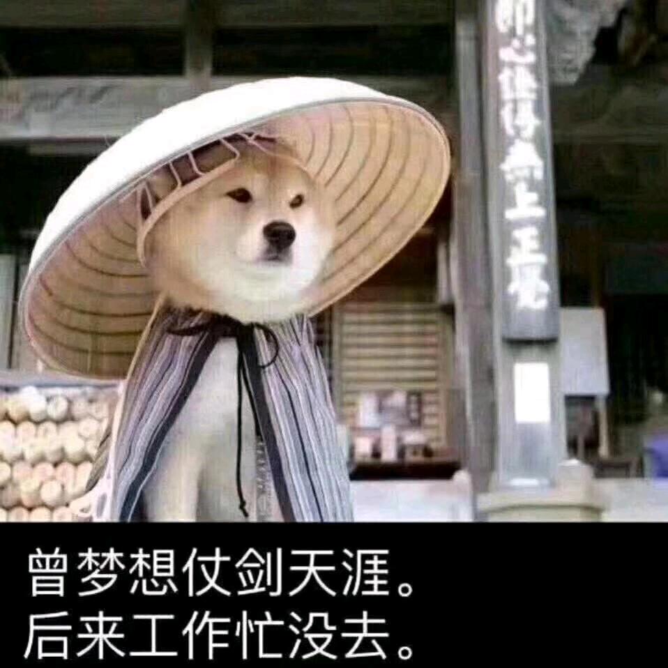 漳浦新园通讯