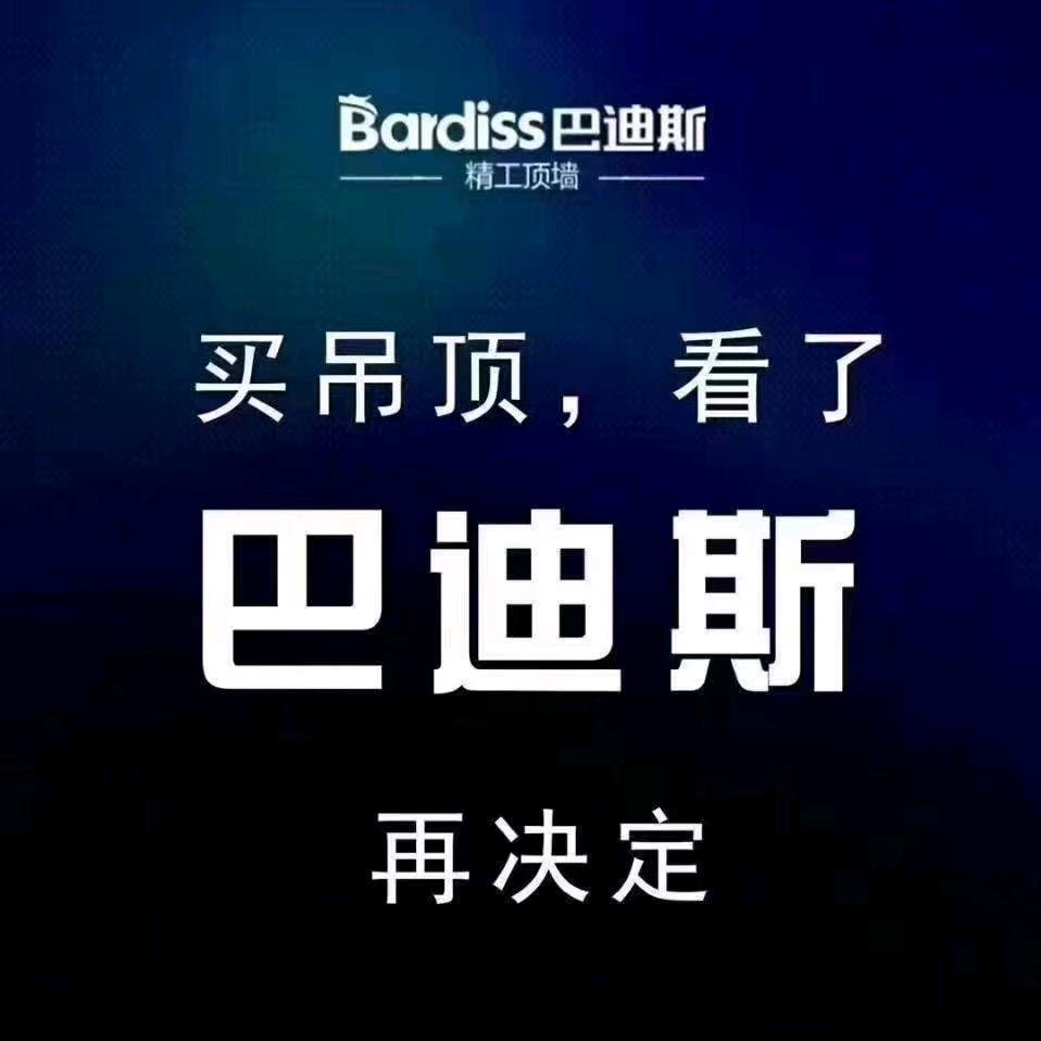 河池巴迪斯吊顶