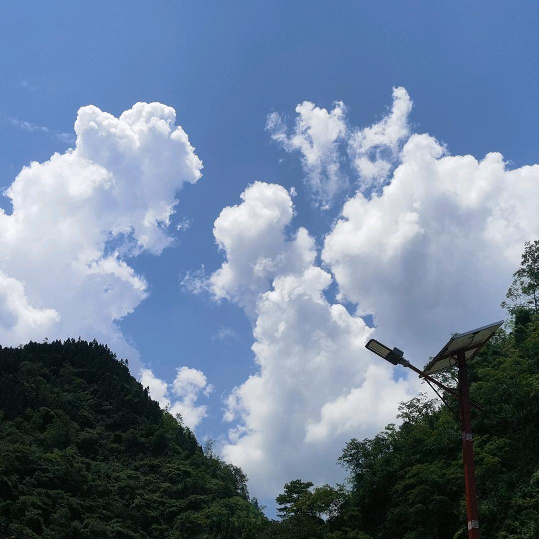 奇表哥