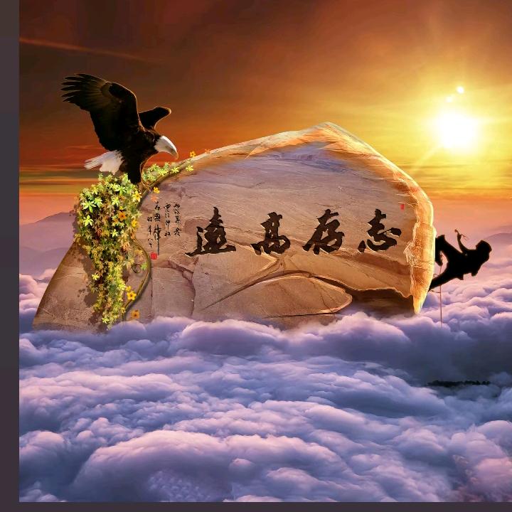 余生只求财