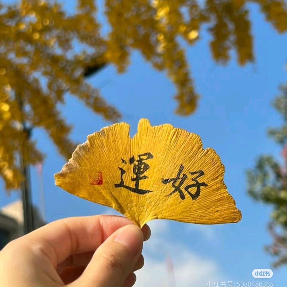 吸金小能手🍒