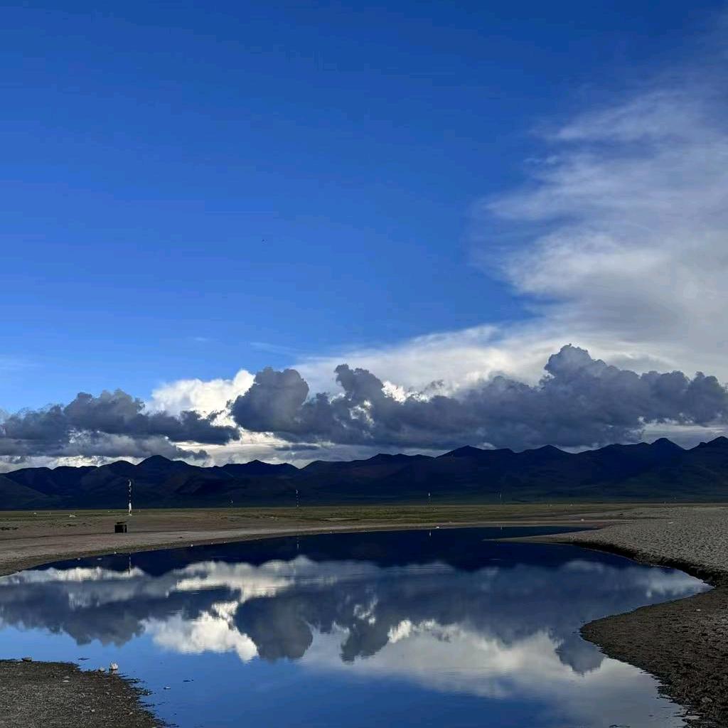 花卷（村一法师）