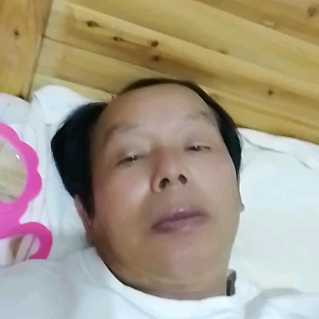 春满人间飞的更高