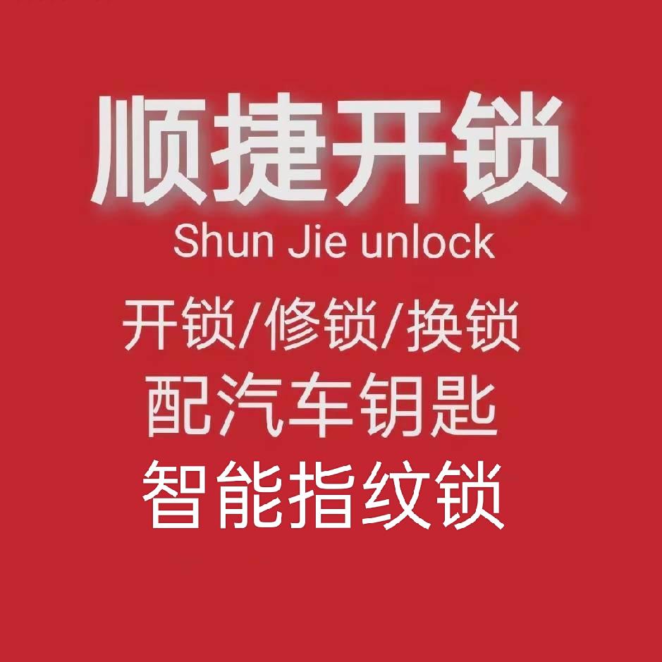 重生之干开锁挣钱养家