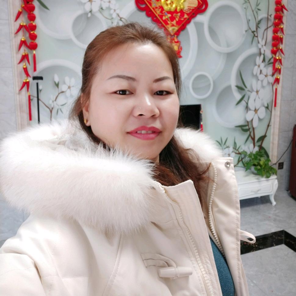 春天的梅花