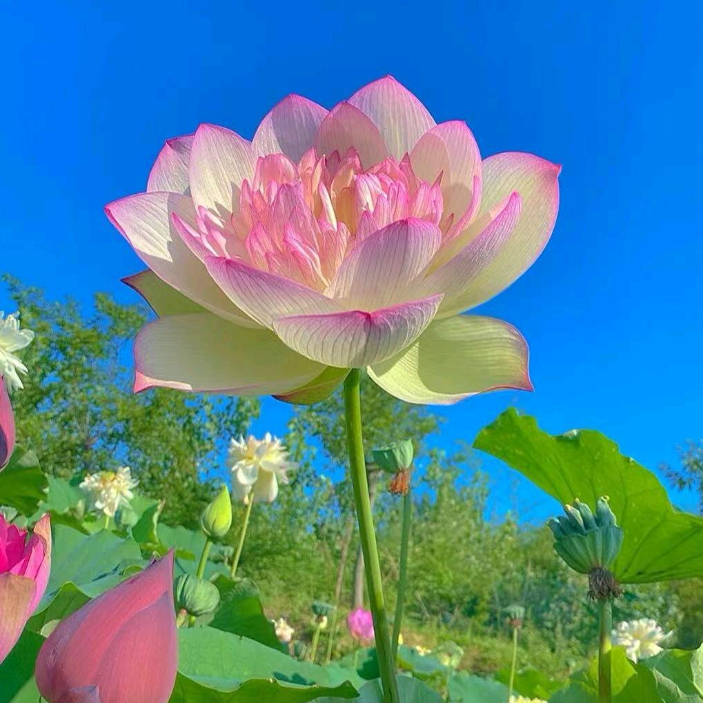 雨过彩虹