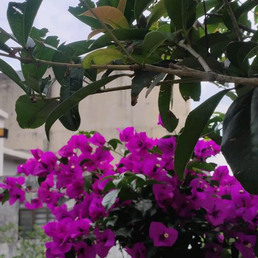 总在爱里心碎912649865652