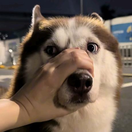 换新