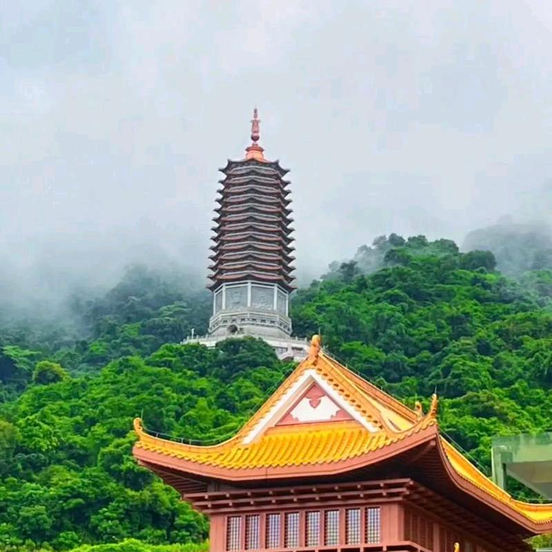财富如意