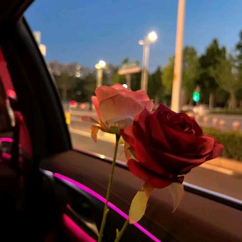 新区理发馆（合作人）