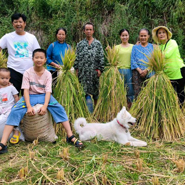 、 美容设计师，你好你开的这个美容店太隆