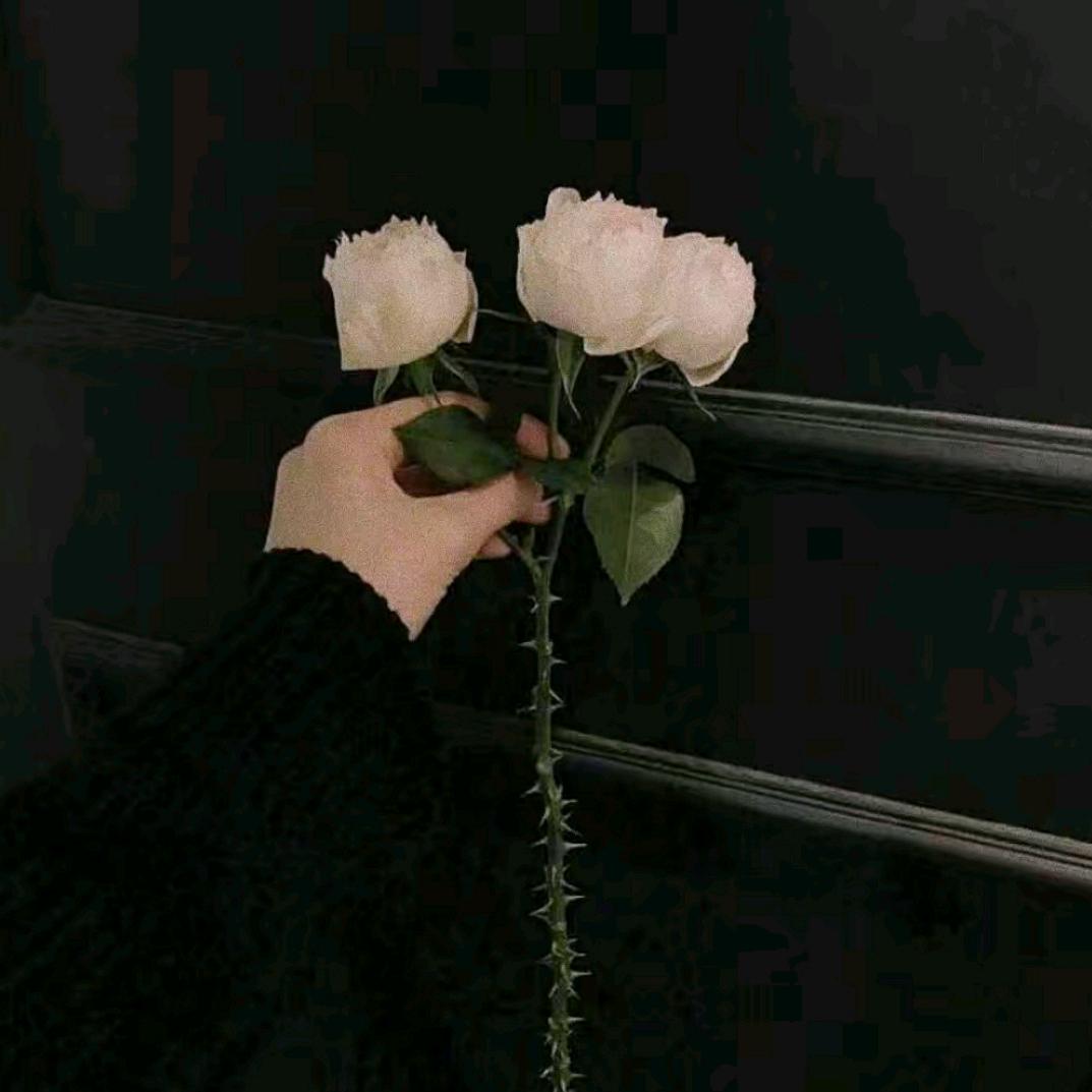 财神爷的小宝贝