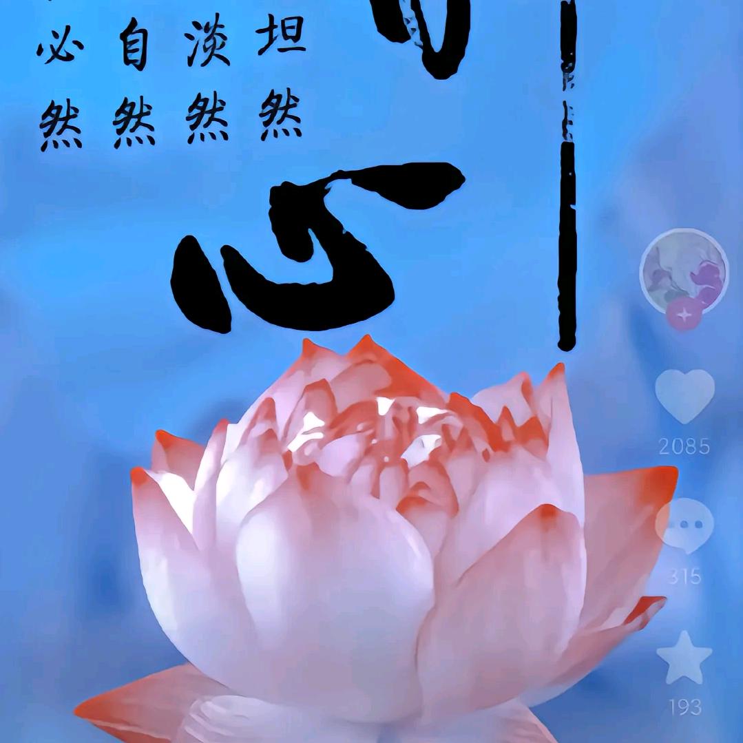 🙏修心🙏（心中的菩提）