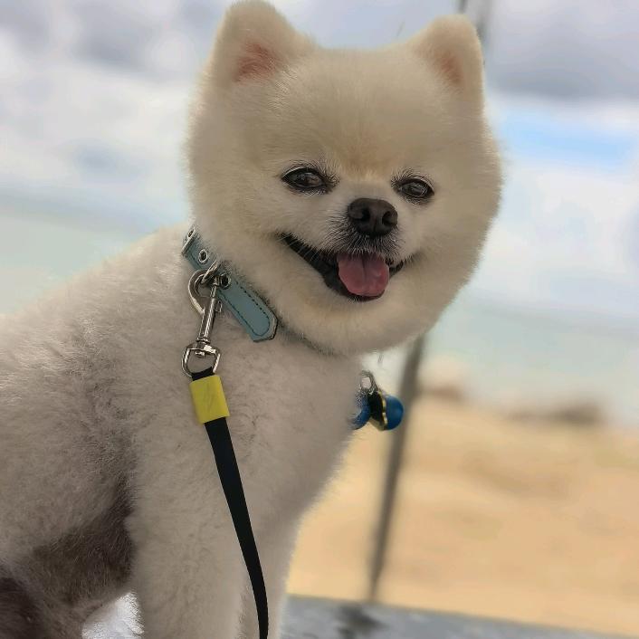 十一是个小跟班